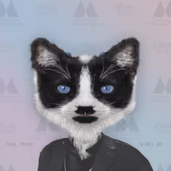Celebrity Cat Modeling Agency #196