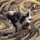 53180631642456764738139299674940583640479914081960747744151193566188331335681
