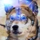 51787575786991732966536832427972541838241252360686054281002612810330457243698
