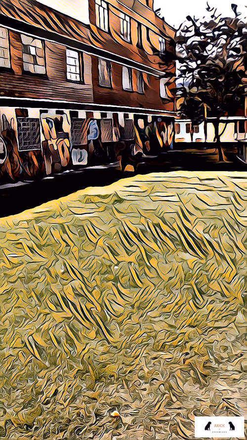 Item #10567450016853403337930259676618451783682953632793231315200837925087083495425 Media