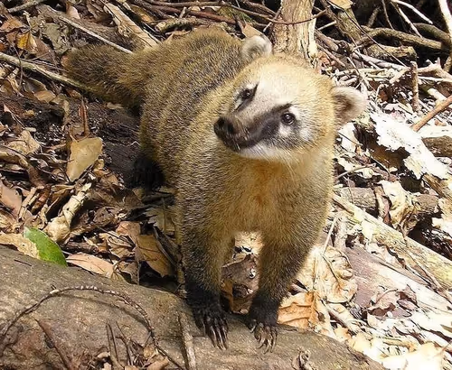 Item #39083204805328424226701303183852423297820358451573401344036649741974302097409 Media