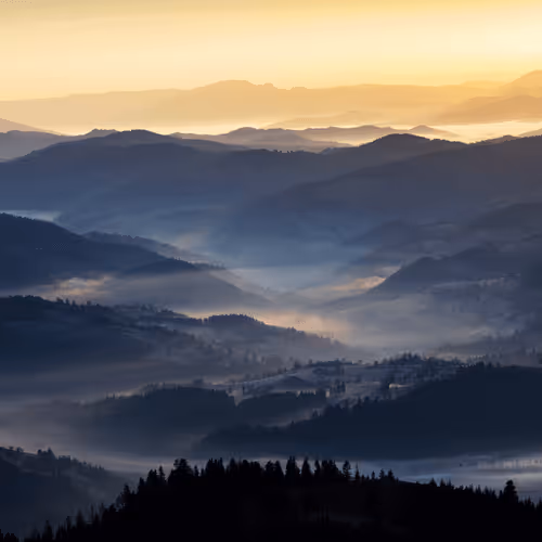 Item #5251330199677453137602023224784085473463322177594998439991548929582598979585 Media