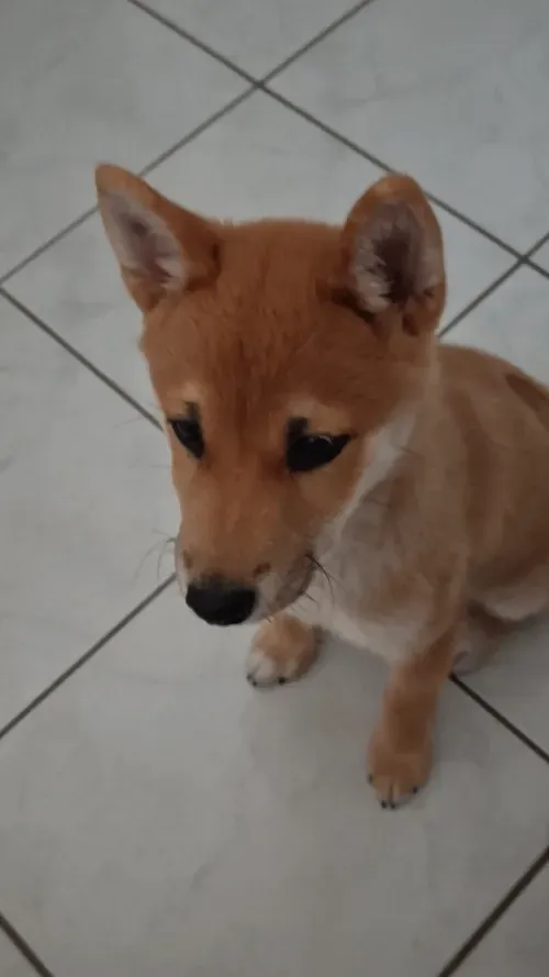 Item #51858709847349082355477028651242767391039160802379825665602477037985669840897 Media