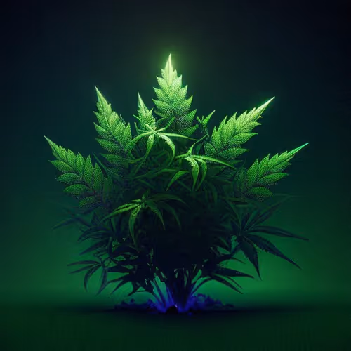 Item #112734530857144882359999642701628212224458434027144103607303888619847192512160 Media