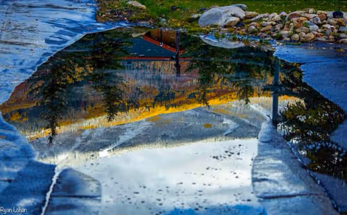 Item #44709480693160417701152031466761867258351074556435739886014108958644687077377 Media