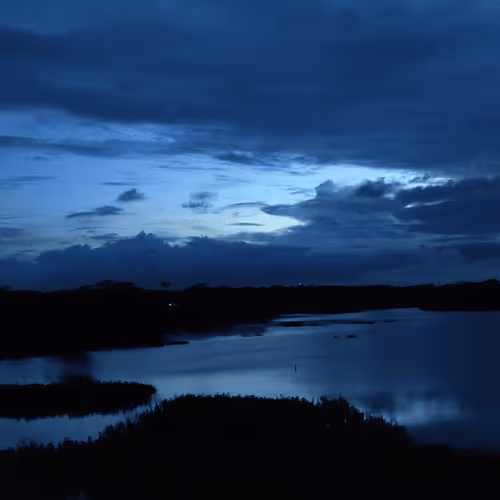 Untitled Collection #123593723