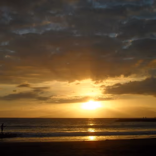 Untitled Collection #50899082