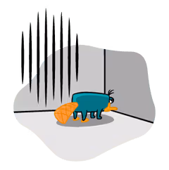 Item #64101397177982213250463944829258973421701268378185485944263029051201425506404 Media