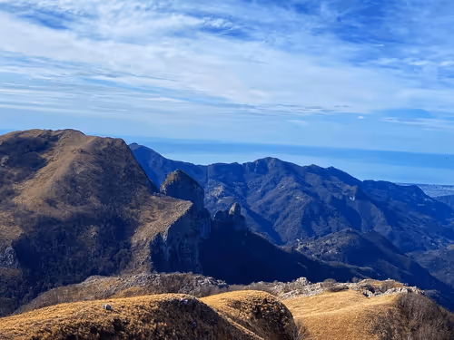 Item #36336170879608208403963751604494433054462935544758920663222913839580592472065 Media