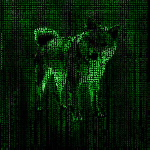 Item #84484507182992813174593212253029795241314662654351325747724180820111719923713 Media