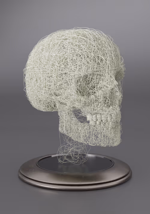 Item #26856053106357602036810690026485568799622148886408677324180188449569333313537 Media