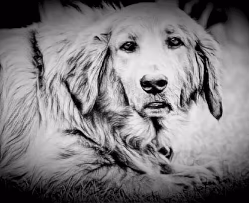 Item #23143313246472061328071561115701105421589606567298838424350448125847825022977 Media