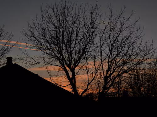 Item #55297223282317197917185791022658401724226762533250968792427961313532210839553 Media