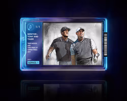 Item #48394434434046958436182806153302460590794072253193823217415327972486740443137 Media