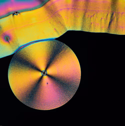 Item #10963747158726230323476698717181339106024031103904100561308612025975702552577 Media