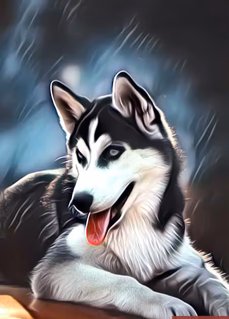 Item #55194170114316829254510540882056805105839780661508919584624435972352862322689 Media