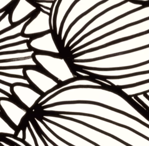 Item #115166867936095770429438259128629738541612583624805855104759237533321033416705 Media