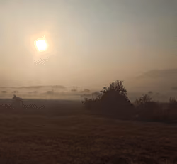Autumn morning inspiration