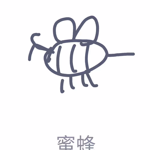 Untitled Collection #84493436