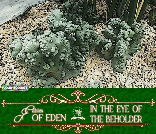 Item #111848979152032696048250741203495729991903103051508547843647447310070865461249 Media