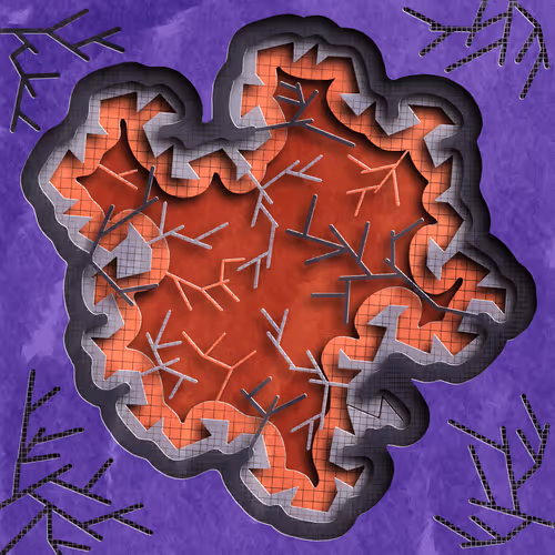 23870702958417281255197408592205639570957136318865581016475676506503719682049