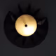 81126233947564625006597070654278833367953217117663887146966003858798173749348