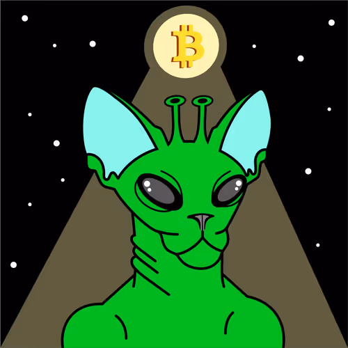 Crypto Sphinx Cat #7