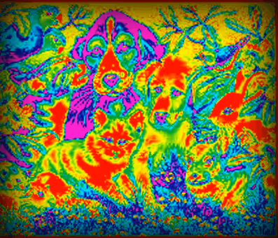 Item #32702233583669198644822038353954094621120595910518874948842520121692452290561 Media