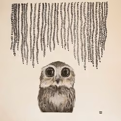 Baby Owl