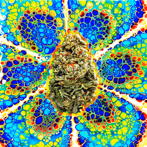 Item #13955282856406335165414100891374623718709547313428947888299033989042160009226 Media