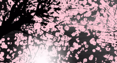 Item #24213454176569955367698054174080727993663666586213143991406365959832110891018 Media