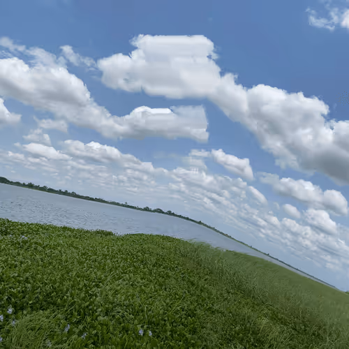 Item #53824836538918648026680043126042186080742309087165823150174572767165947052033 Media