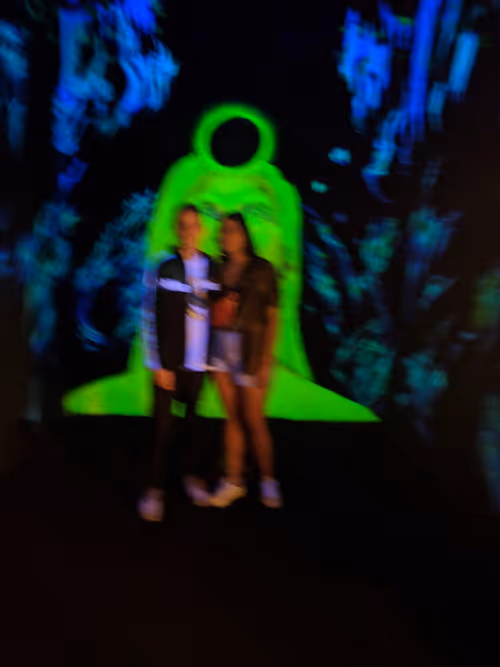 Item #112379485358666676371294281433242408955155196842875732493104130328422265126913 Media