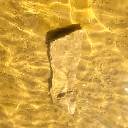 "Sunbathing Stone" in motion.