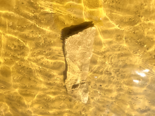 "Sunbathing Stone" in motion.