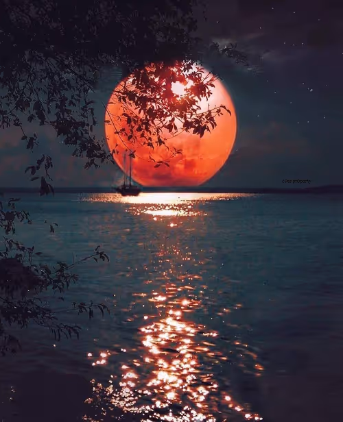 Item #83462484926125179177933876272722647181473475967863052278931111127339329650689 Media