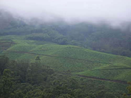 Item #9334773467209540135073192045287736746414071069984811112776242811926594191361 Media