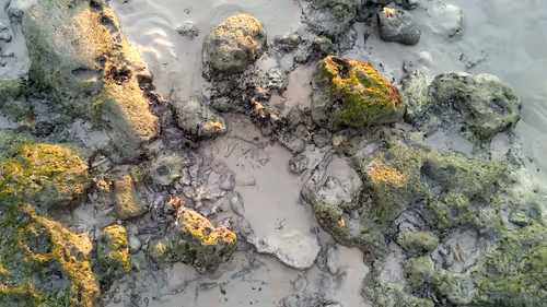 Item #114521557681587448164416414833705315608998654968609078692768572455450847477761 Media