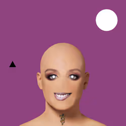 88737702653449128909489654253868271633479664914542938973620632998172136833025