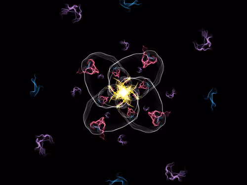 Item #78383002383355944225959986236547179182726831063030231167604627911306370875393 Media