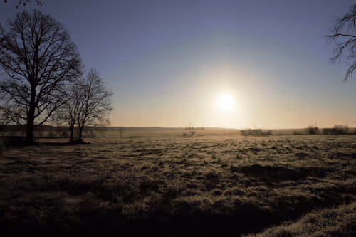 Item #25048395052866519615583306303043483840076282884633851044387431715779572137985 Media