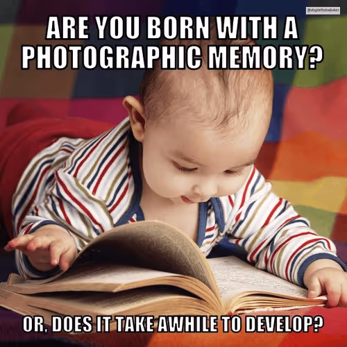 Item #50019202249894892371434277918318181364623497082798944916930856024614365036545 Media