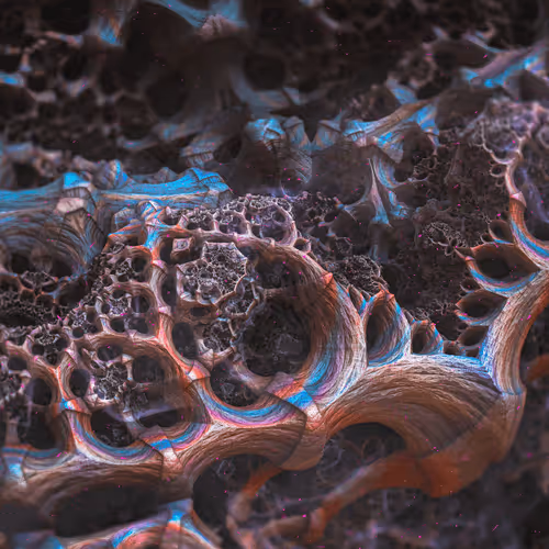 Item #68696606879645770290179658453741066670819958473275281603398243064565274247169 Media