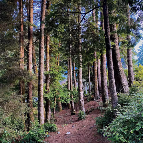 2005862319158051831365229387864138466486092287762213337058068750515352633345