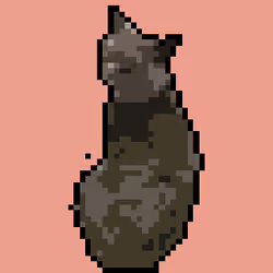 AngryCat Roni 05