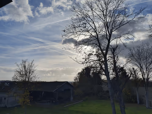 Untitled Collection #42277534