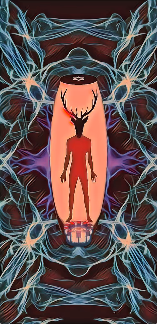 Item #65065674619428719885021672247988291755607385857295350941371744850500179198051 Media