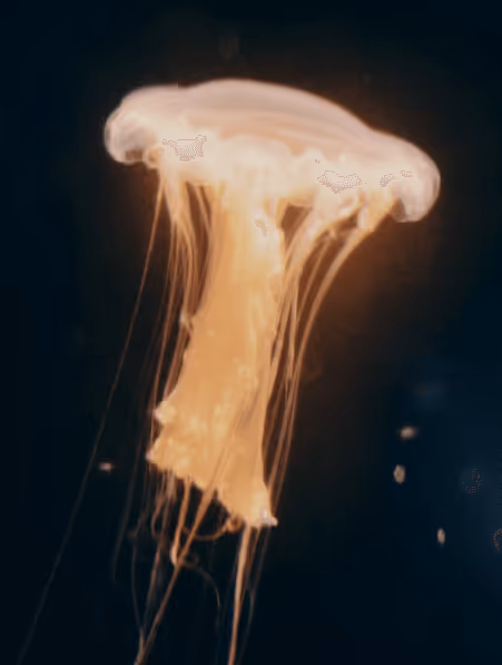 Item #28646376718959394902732742024294444879666000534029739206404698806310873858059 Media