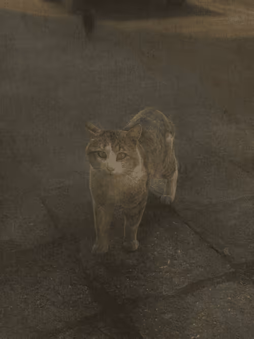 Item #102650025238985064889532626323507420633017859616961165632132729807768175771649 Media