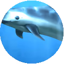 Item #113709189734790748592391654450439240063150789271032554498674515214170996080641 Media